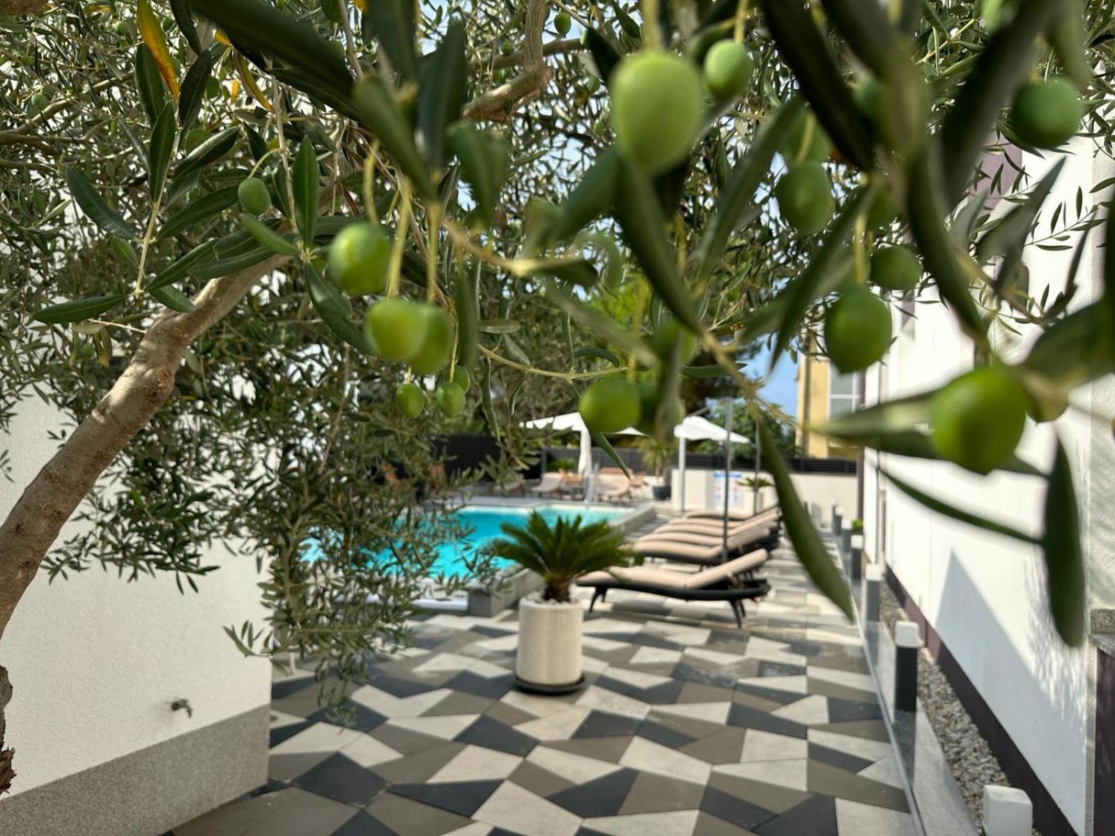 Apartments Laura 1 Privlaka  Ngoại thất bức ảnh